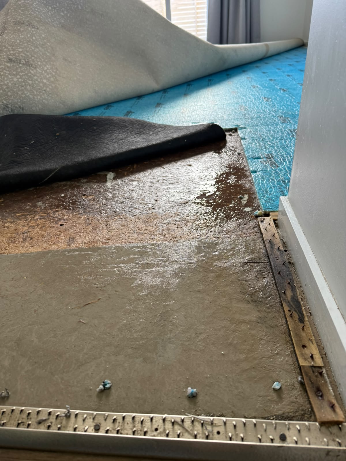 Bedroom carpet and underlay peeled back to reveal a water-damaged, stained subfloor