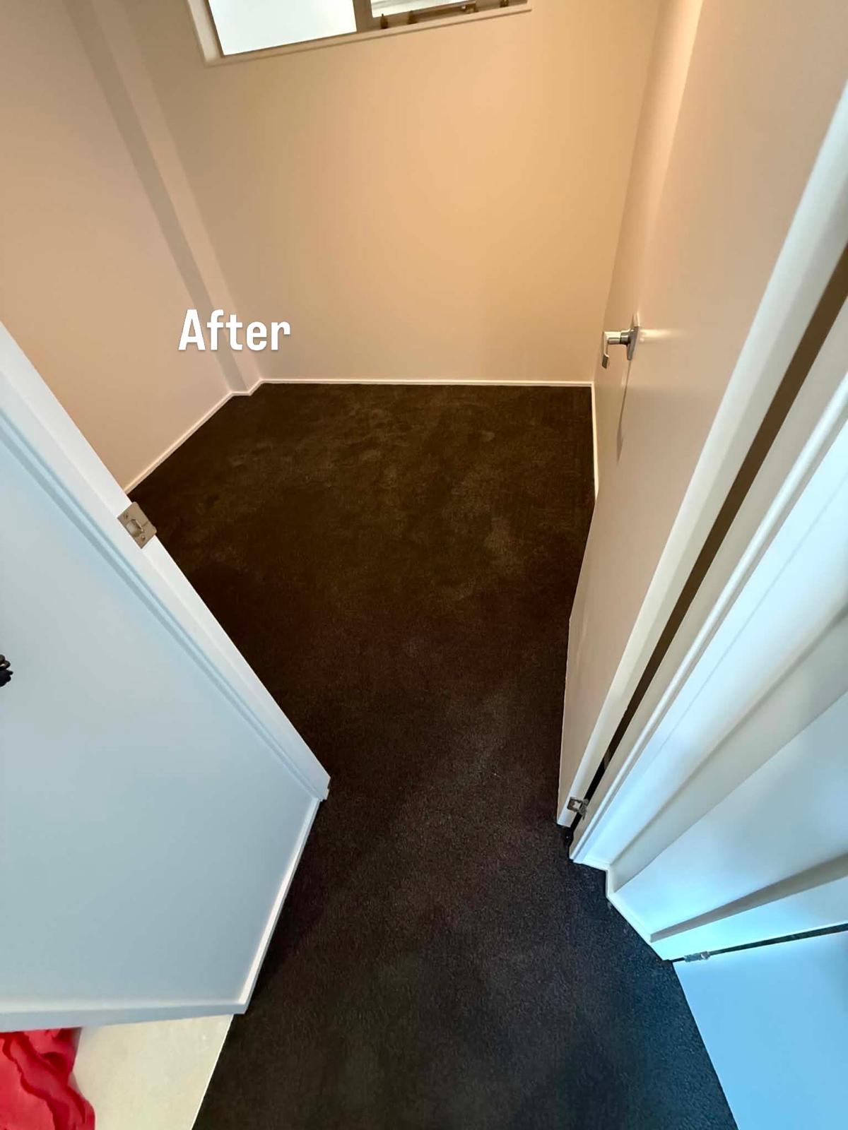 Finished cupboard with dark brown carpet laid neatly up to the skirting boards
