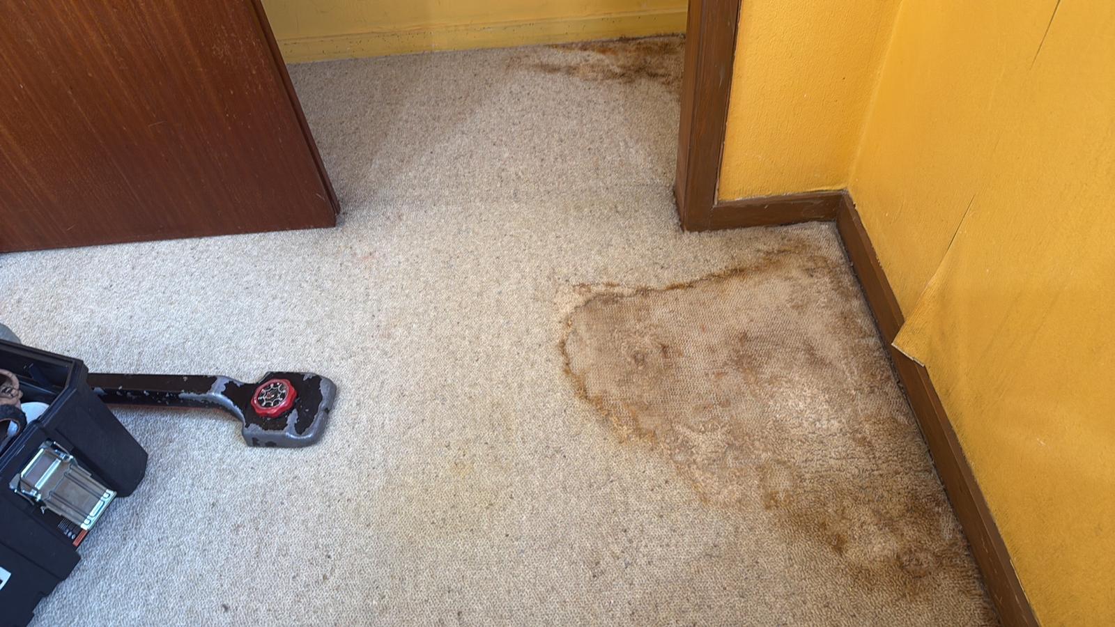 Cream carpet with heavy brown water staining spreading across a doorway