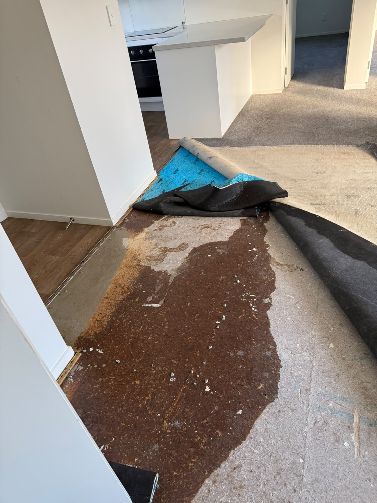 Open-plan living and kitchen area with the water-damaged carpet stripped back, exposing the wet subfloor