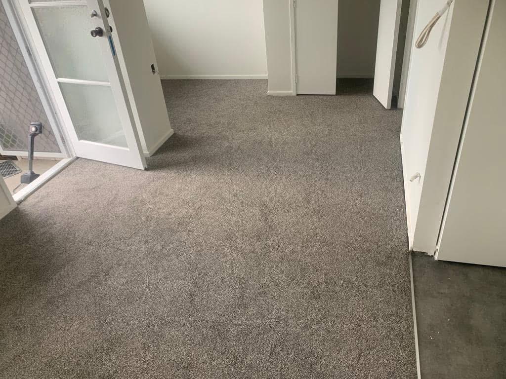 Room with freshly laid grey wall-to-wall carpet running cleanly up to the skirting and French door