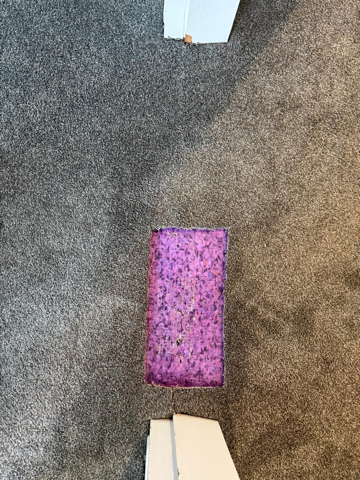 Long stretch of carpet seam pulling apart with loose threads fraying at a doorway