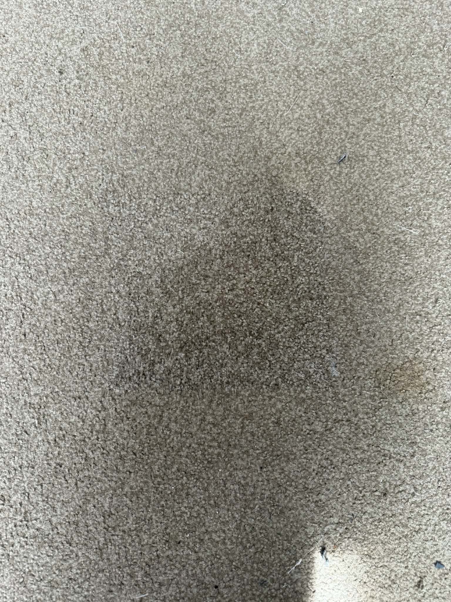 Close-up of a dark stain patch on brown carpet before spot cleaning